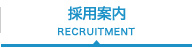 採用案内
